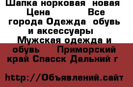 Шапка норковая, новая › Цена ­ 5 000 - Все города Одежда, обувь и аксессуары » Мужская одежда и обувь   . Приморский край,Спасск-Дальний г.